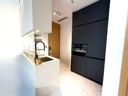 Cairnhill 16 (D9), Apartment #566396961
